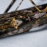 insecto palo