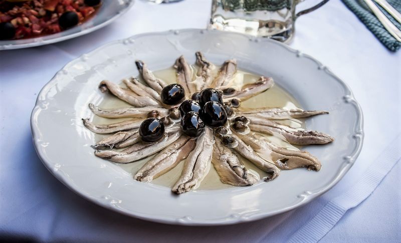 Anchoa Características, distribución, pesca, en la gastronomía Pez