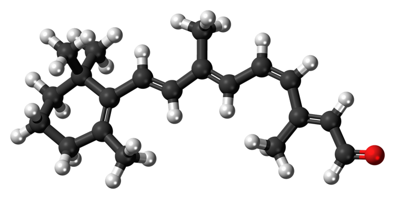 Peptidoglicano o mureína