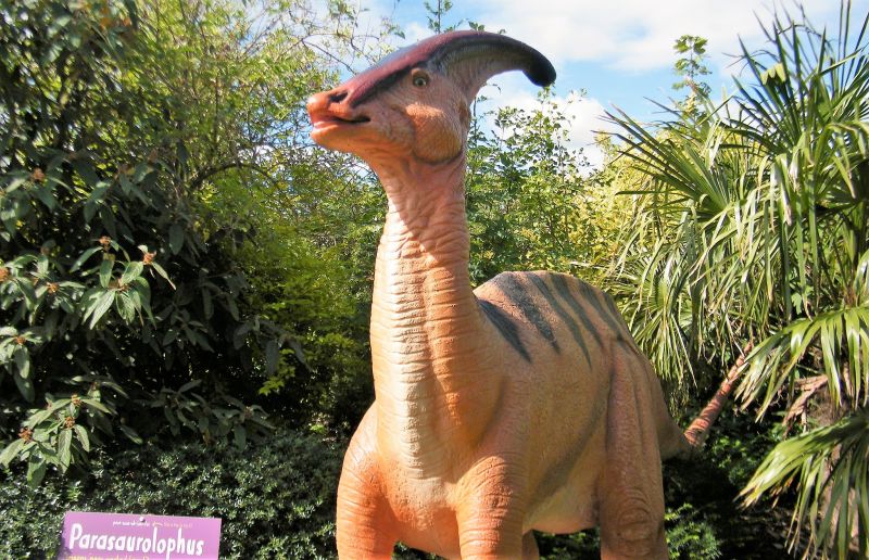 El parasaurolophus