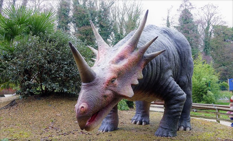 Triceratops Características, alimentación, rasgos, defensa Dinosaurio