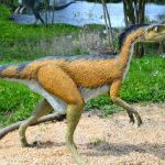 Troodon