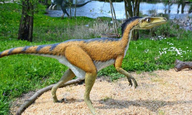 Troodon