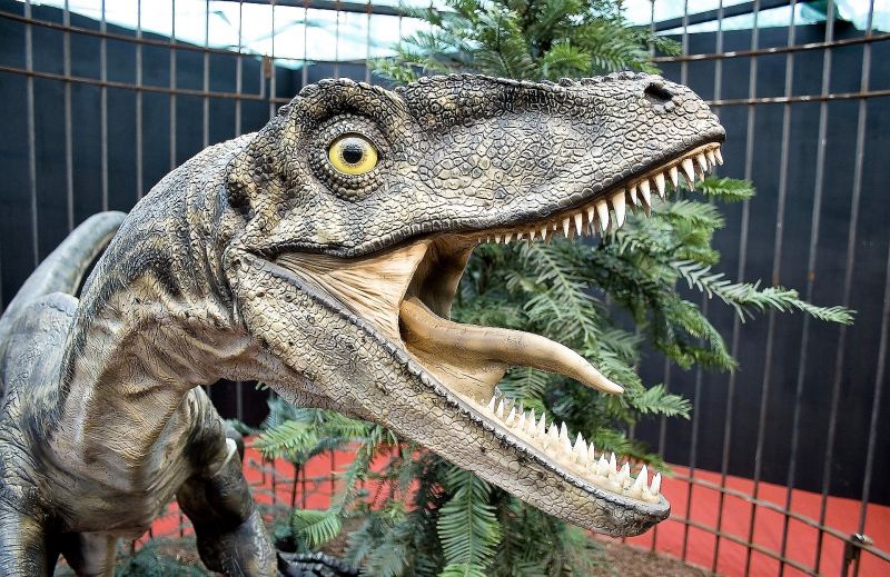 Velociraptor | Características, hábitat, alimentación, inteligencia, dinosaurio Velociraptor | Características, hábitat, alimentación, inteligencia, dinosaurio