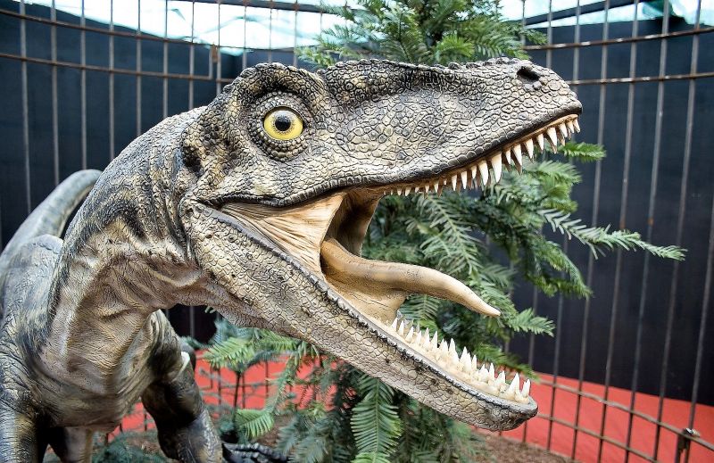 Velociraptor Características, hábitat, alimentación, inteligencia, dinosaurio