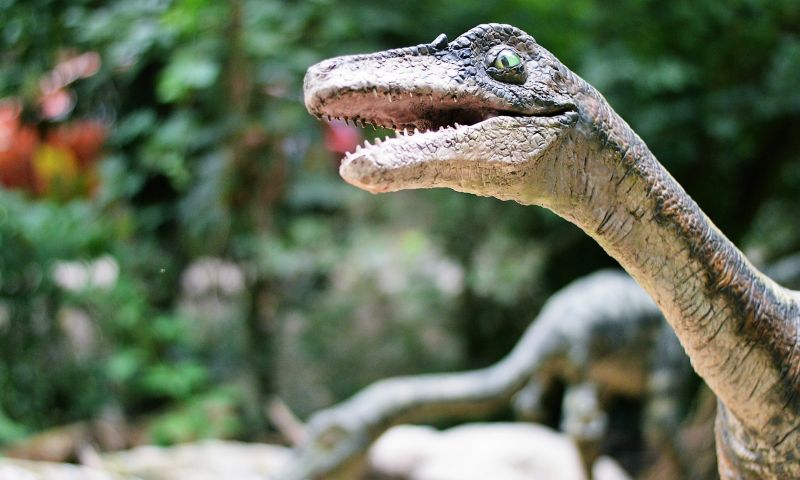 Velociraptor | Características, hábitat, alimentación, inteligencia,  dinosaurio