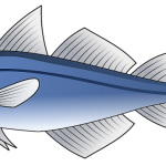 Atún