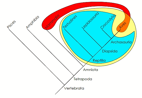 Monofiléctico